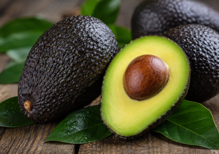 aguacate-hass-ia