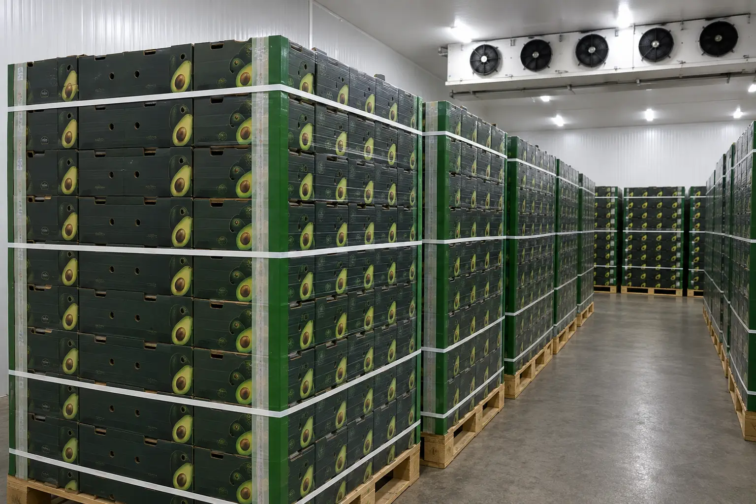 Perรบ llega a 580.000 toneladas y Chile se convierte en una pieza cada vez mรกs importante
